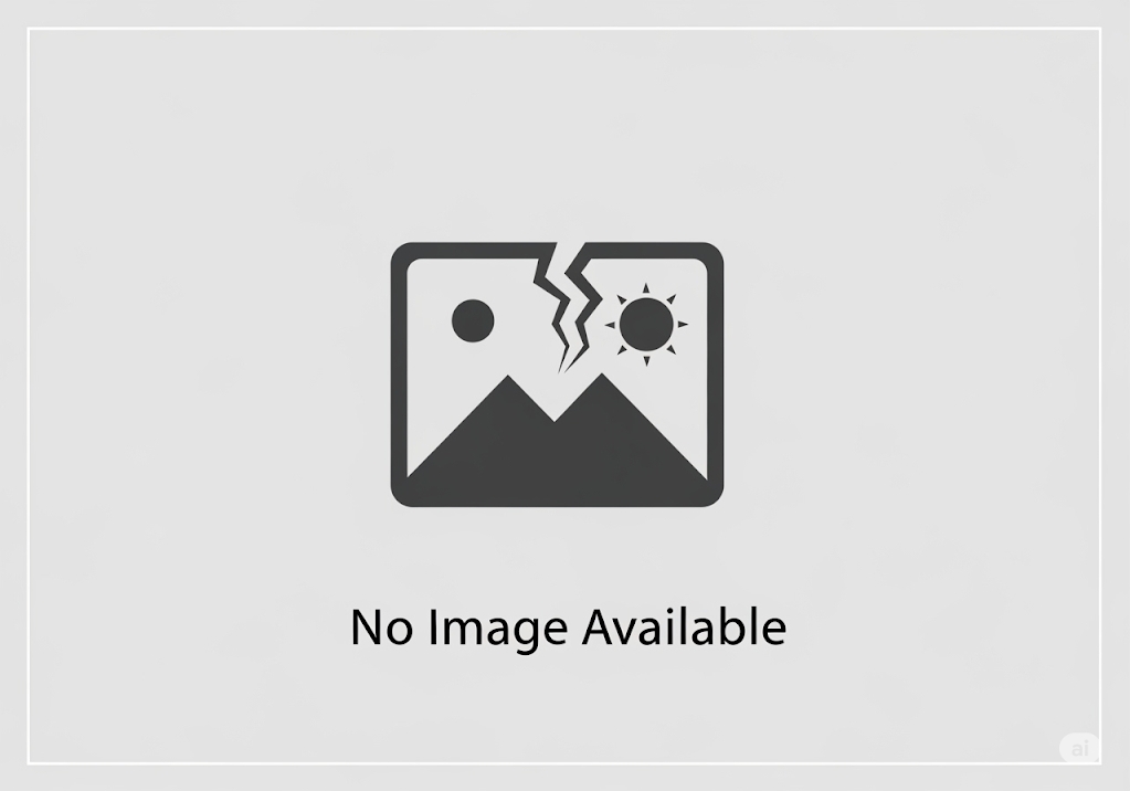 The Unseen World of Thai Fermented Foods: Lactic Acid Bacteria and Their Power